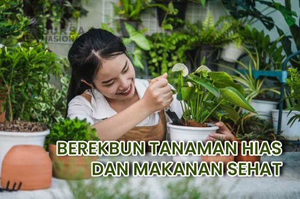 Berkebun untuk Menghasilkan Tanaman Hias dan Makanan Sehat