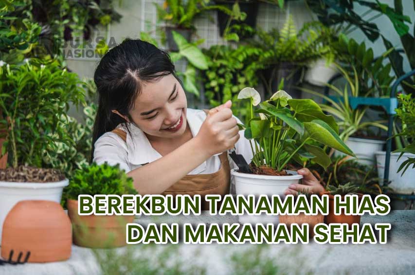 Berkebun untuk Menghasilkan Tanaman Hias dan Makanan Sehat