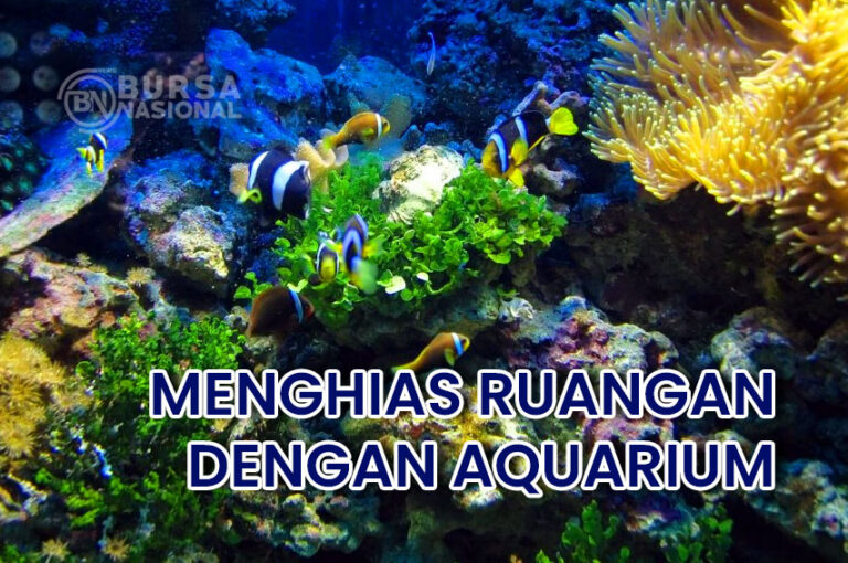 Membuat Aquarium Untuk Menghias Ruangan