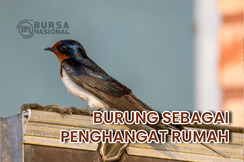 Memelihara Burung untuk Menambah Kehangatan di Rumah