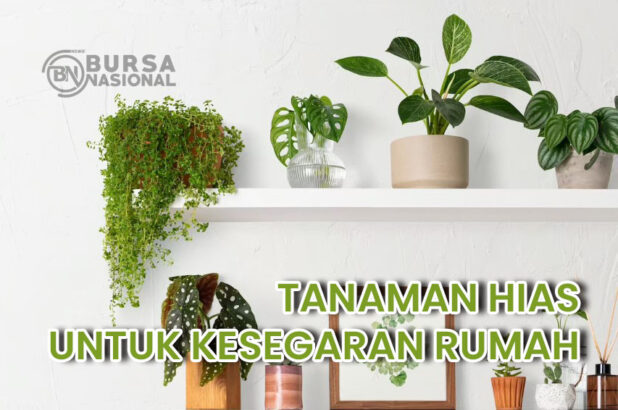 Memelihara Tanaman Hias Untuk Menyegarkan Rumah