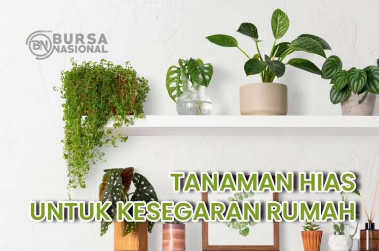 Memelihara Tanaman Hias Untuk Menyegarkan Rumah