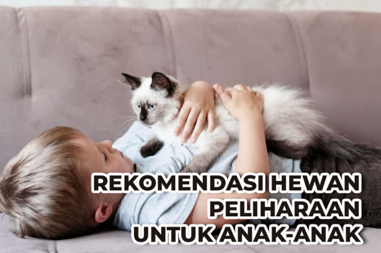 REKOMENDASI HEWAN PELIHARAAN UNTUK ANAK-ANAK