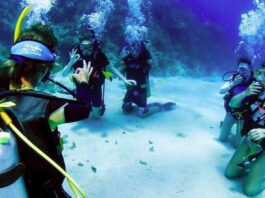 Spot Diving Terbaik di Indonesia